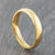gold titanium ring